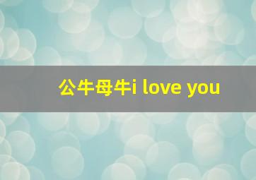 公牛母牛i love you